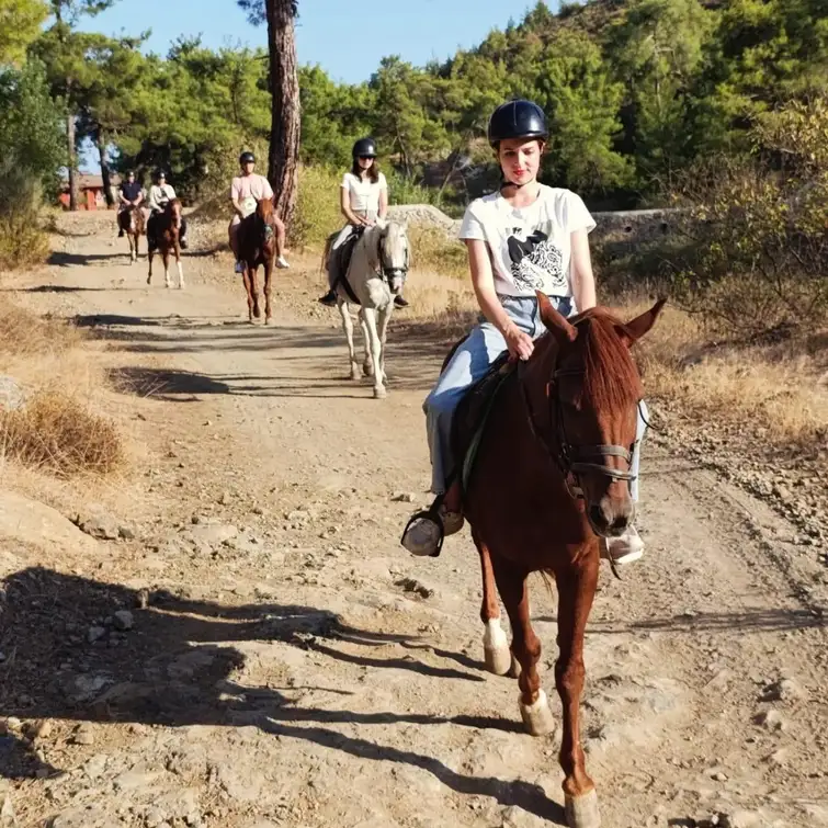 Scenic Horseback Riding Tour with Pickup 3
