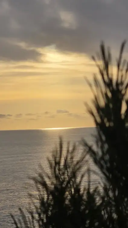 From Lecce: Hike in Porto Selvaggio, Swim & Gallipoli visit 3
