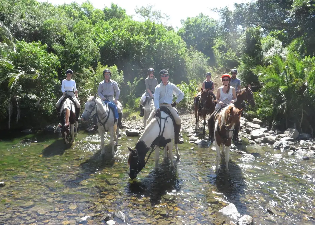 Scenic Horseback Riding Tour with Pickup