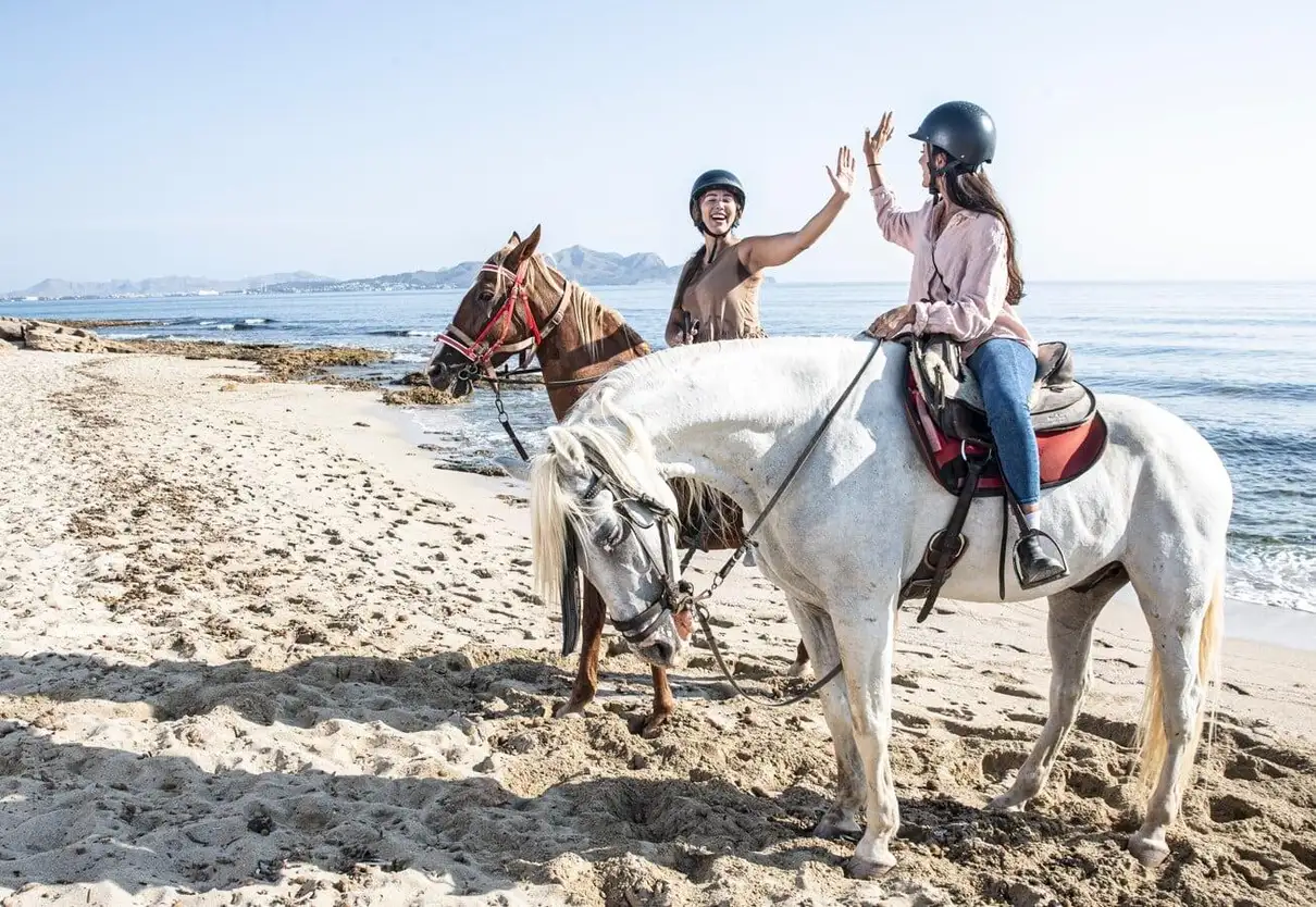 Antalya/Belek: Horseback Riding Through Sandy Forest & Beach 3