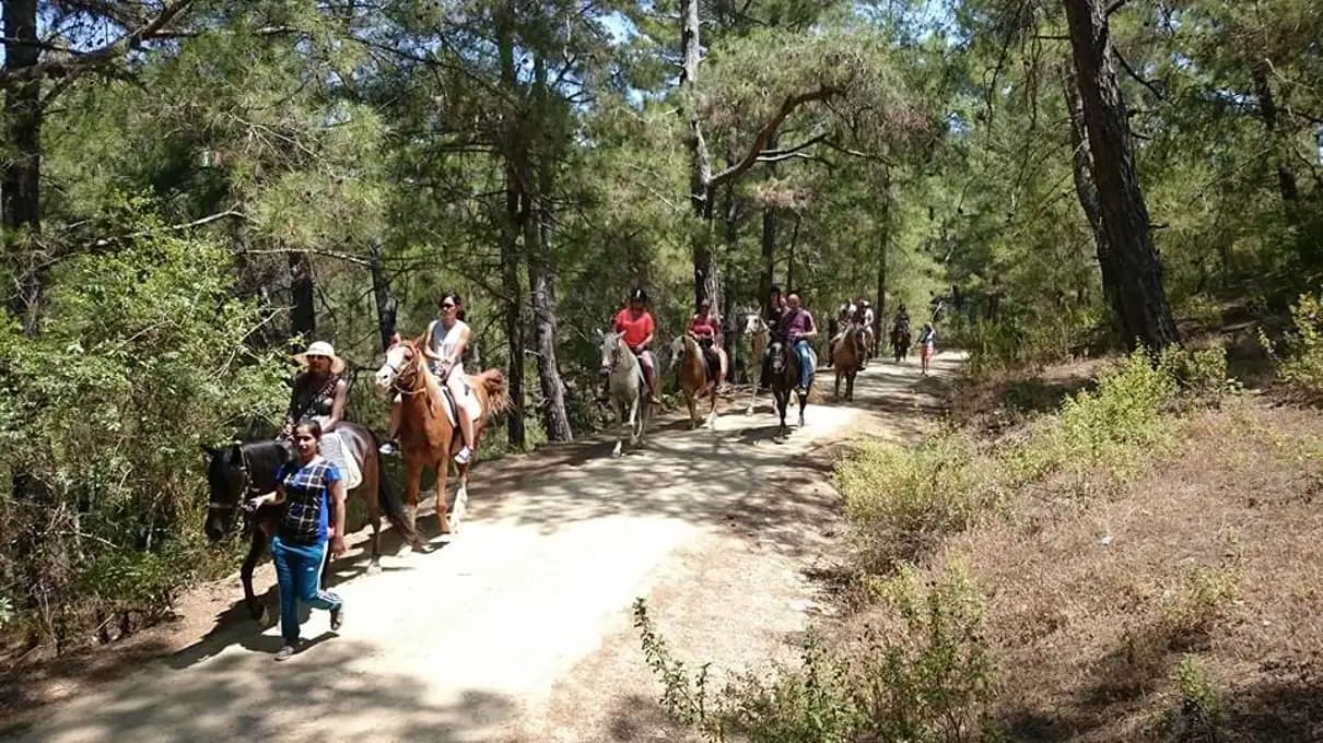 Alanya: Horseback Ride Through Nature near Syedra Ruins 2