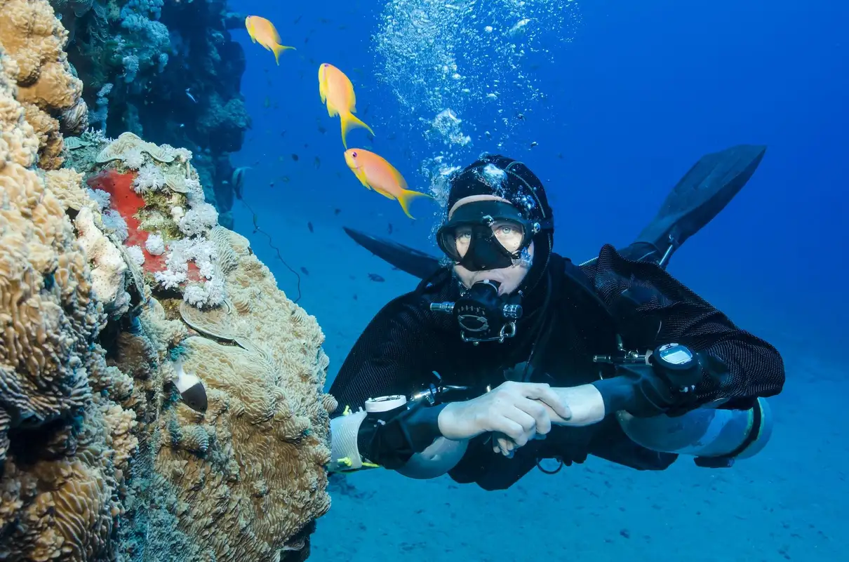 Antalya/Kemer: Scuba Diving Experience with 2 Dives & Lunch