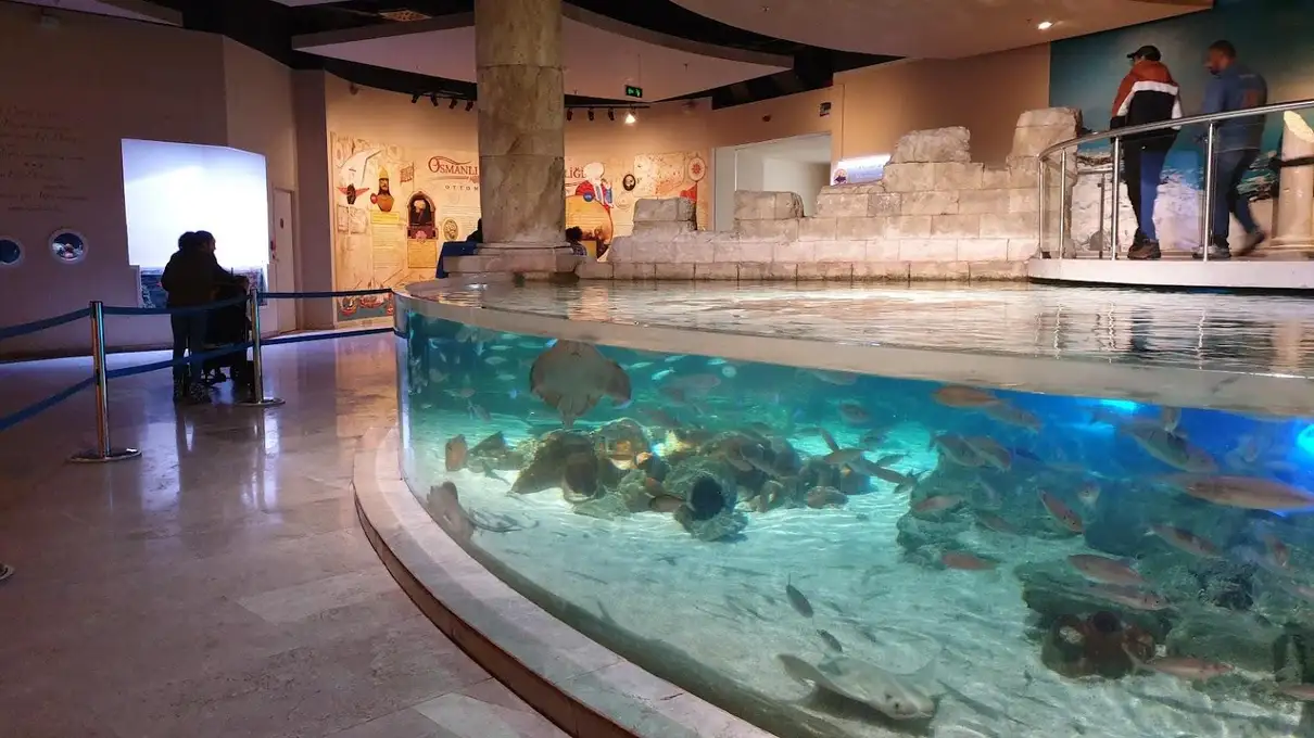 Istanbul: Aquarium Ticket and Round Trip Shuttle from Taksim 2
