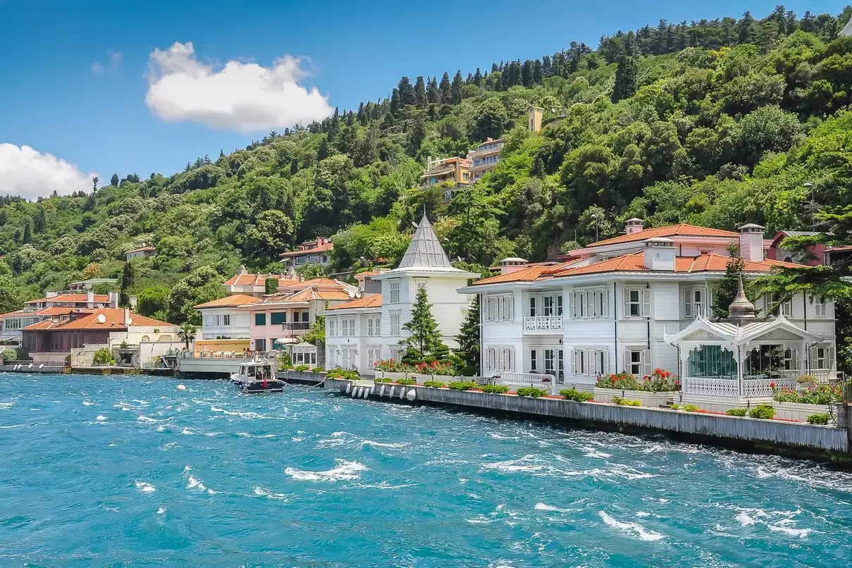 From Istanbul: Full-Day Princes Island Tour with Lunch