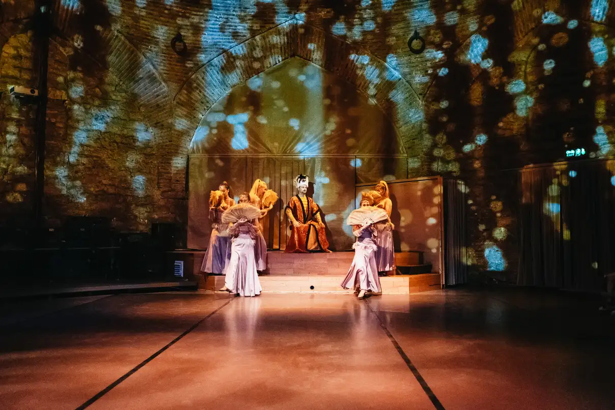 Istanbul: Hodjapasha Rhythm of The Dance Show 4