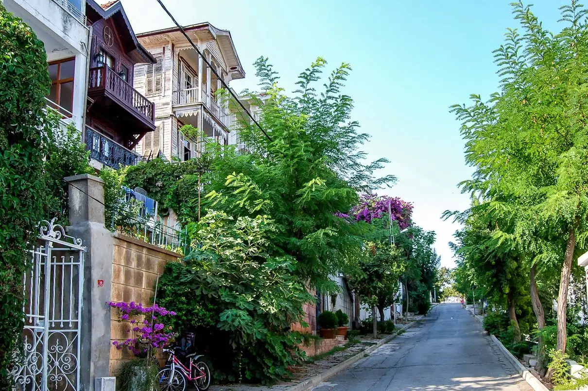 From Istanbul: Full-Day Princes Island Tour with Lunch 1