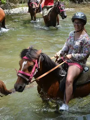 Marmaris Horse Riding Experience with Hotel Transfers 1