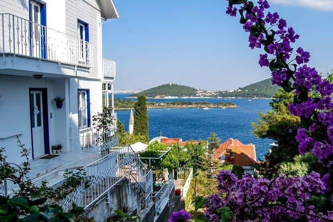 Istanbul Princes Island Tour with Lunch & Hotel Transfer 2
