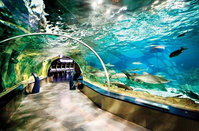 Istanbul Aquarium and Shopping Tour with Hotel Transfers 3
